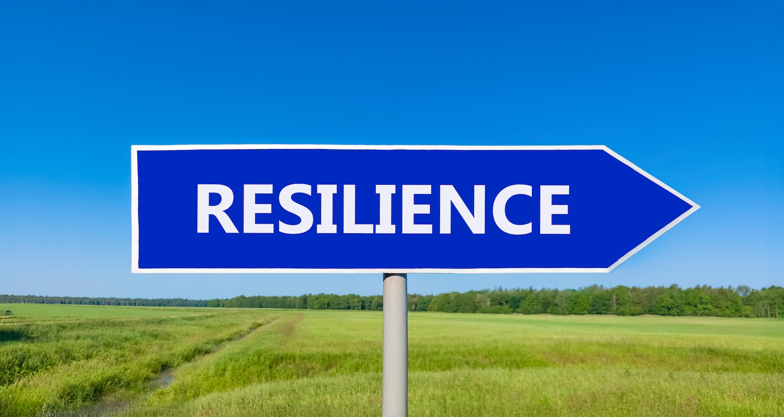 Resilience by Design: How Businesses Stay Secure and Scalable